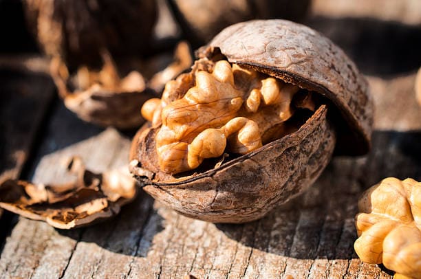 تصویر 1 از خرید گردو با پوست + قیمت فروش استثنایی
